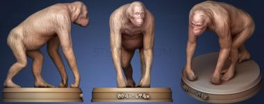 3D модель Орангутанг (STL)
